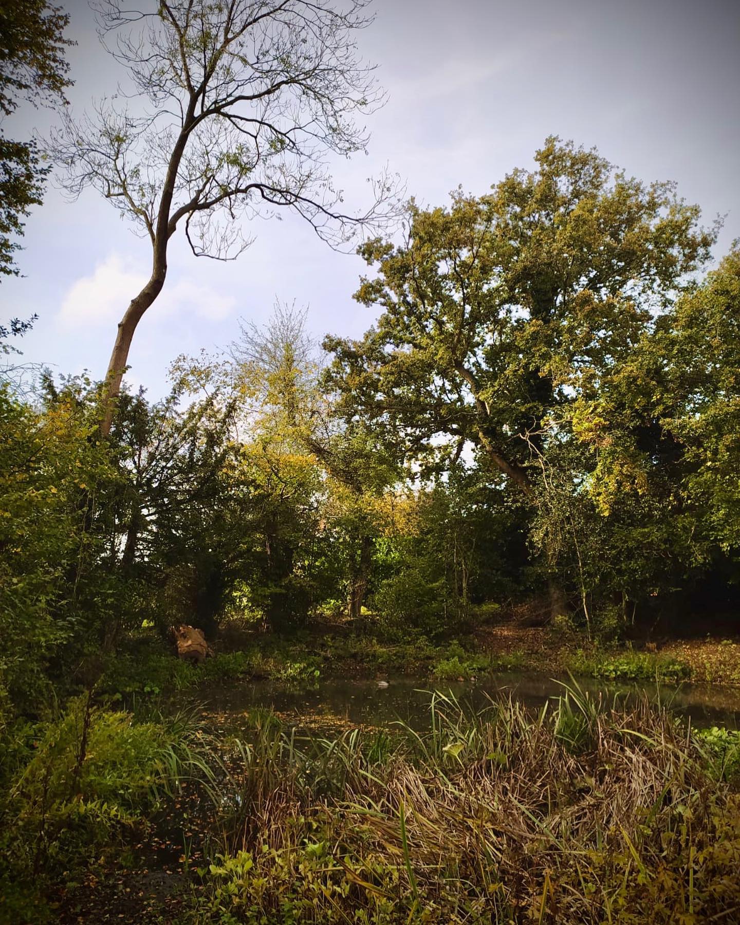 Long weekend of a practice silver D of E up in the Chilterns ⛰🥾⛰
.
.
.
#wildernessdevelopment #expeditions #chilterns #chilternhills #navigationtraining #lovemyoffice #outdooroffice  #hikingadventures #ukhikingofficial #hiking #hikersuk #mapmyhike #outdoorhikingculture #mountainsfellsandhikes #dukeofedinburgh #dukeofedinburghaward #dukeofedinburghsilver #dofe #dofesilver #dofeaward #youthexpedition #outdooreducation #outdoorpursuits #outdooradventures #outdooractivities