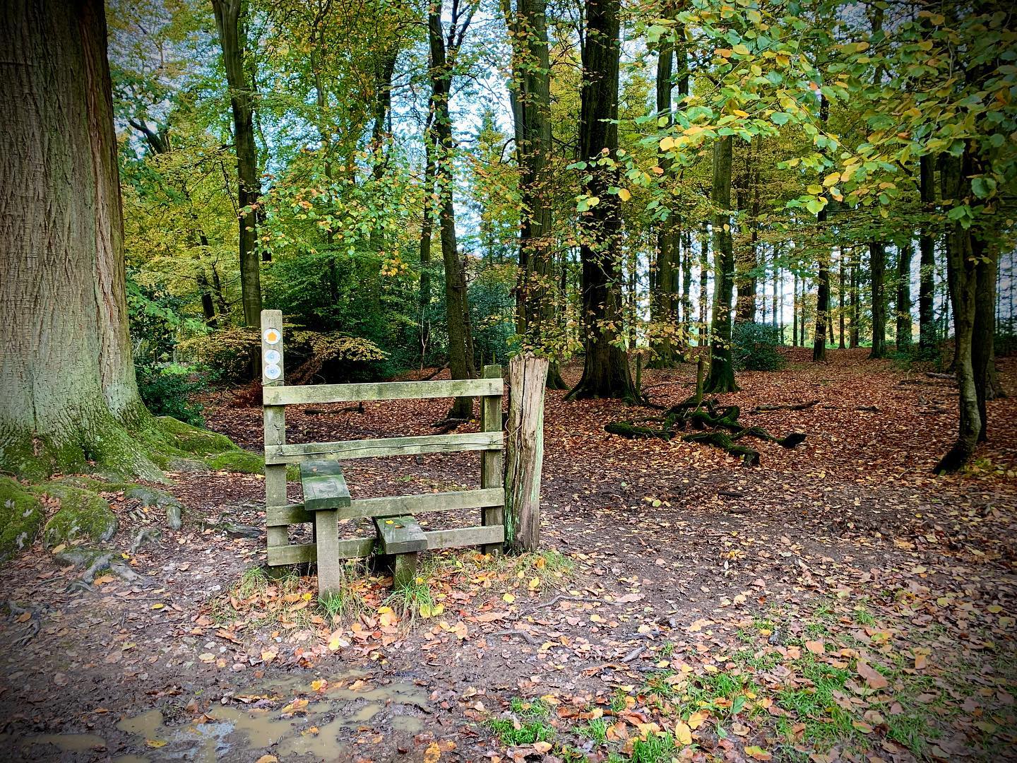 A stile to nowhere, we love little finds like this when we’re out and about! ⛰🥾⛰
.
.
.
#wildernessdevelopment #chilterns #guidedwalks #navigationtraining  #stilesofinstagram #stiletonowhere #expeditions #hikingadventures #ukhikingofficial #hiking #hikersuk #guidedwalks #walkinguk #mountainsfellsandhikes #mapmyhike #myweekendhike #outdoorhikingculture #uklandscapes #ukviews #outdoorpursuits #outdooradventures #outdooractivities #nationalparksuk #uk_0utdoors #getoutside