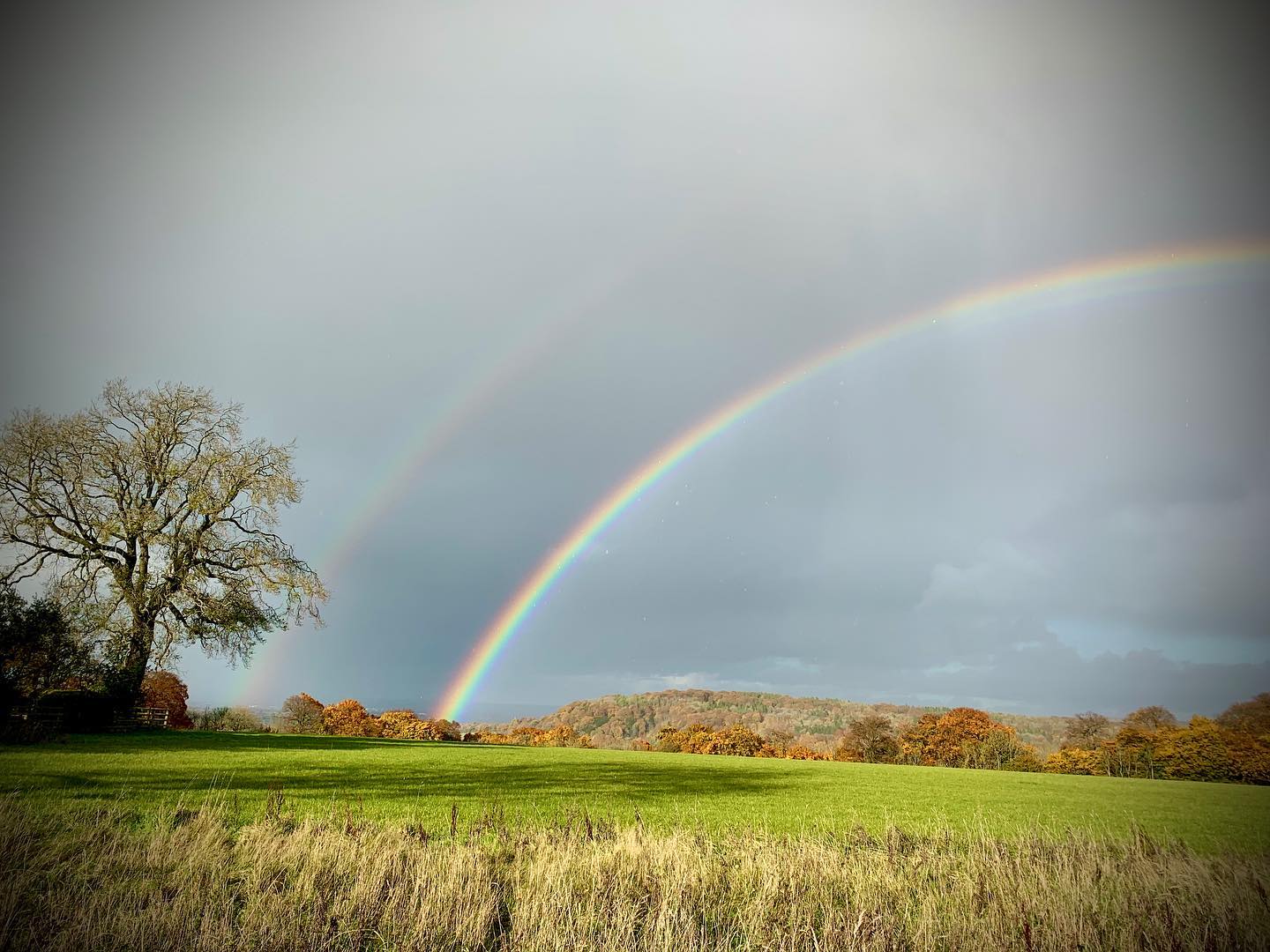 Double rainbow after a sudden downpour 🍁🌈 🍁
.
.
.
#wildernessdevelopment #chilterns #guidedwalks #navigationtraining  #rainbow #doublerainbow #rainbowsofinstagram #expeditions #hikingadventures #ukhikingofficial #hiking #hikersuk #guidedwalks #walkinguk #mountainsfellsandhikes #mapmyhike #myweekendhike #outdoorhikingculture #uklandscapes #ukviews #outdoorpursuits #outdooradventures #outdooractivities #nationalparksuk #uk_0utdoors #getoutside