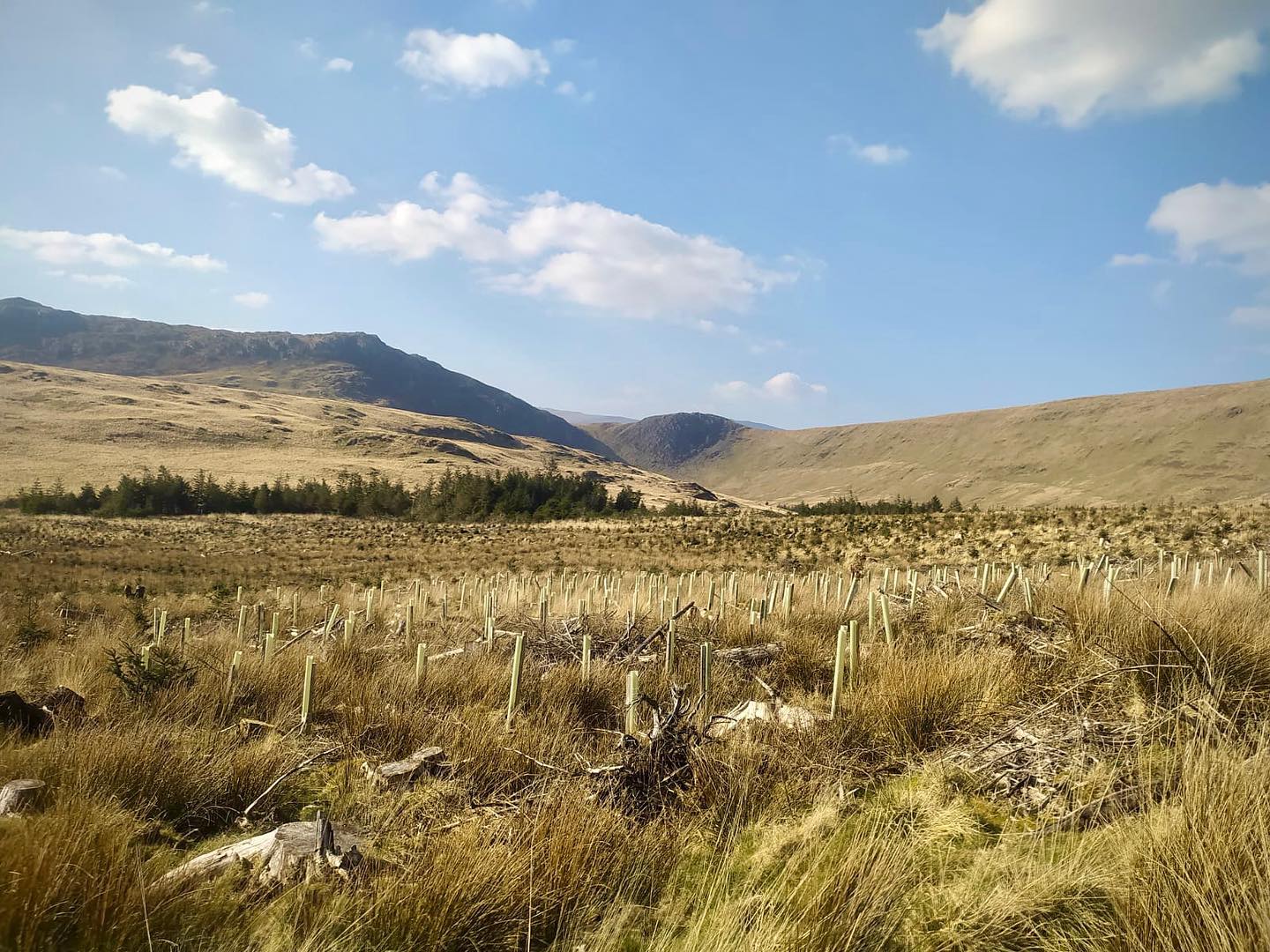 A great sunny view on Foel Goch ⛰☀️⛰
.
.
.
#wildernessdevelopment #expeditions #navigationtraining #lovemyoffice #outdooroffice  #hikingadventures #ukhikingofficial #hiking #hikersuk #mapmyhike #outdoorhikingculture #mountainsfellsandhikes #dukeofedinburgh #dukeofedinburghaward #dukeofedinburghgold #dofe #dofegold #dofeaward #youthexpedition #outdooreducation #outdoorpursuits #outdooradventures #outdooractivities